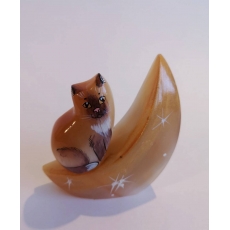 Кот на луне