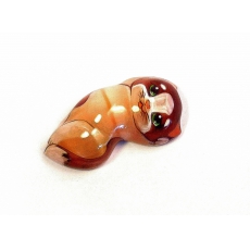 Кошка Алиса