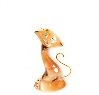 Кошка Ася
