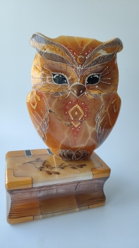 Сова с книгой