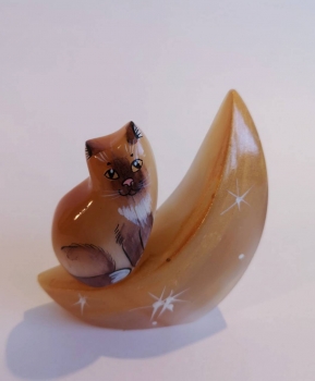 Кот на луне