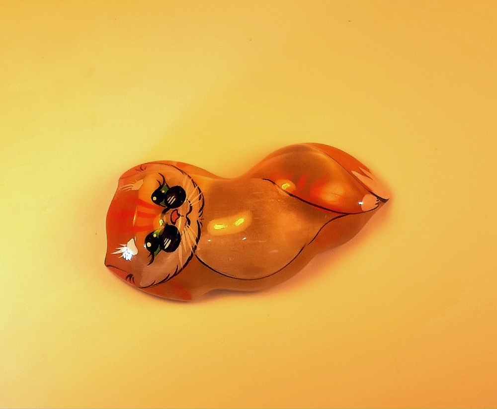 Кошка в очках
